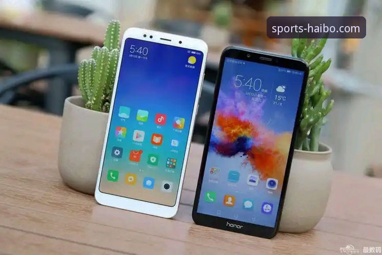 海博体育官网官方正版 vs 非官方渠道：新手如何安全畅玩？